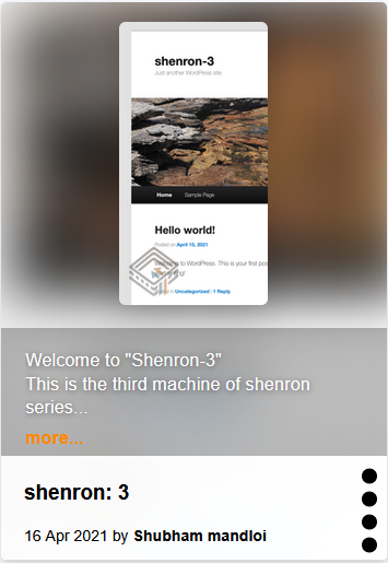 shenron-3